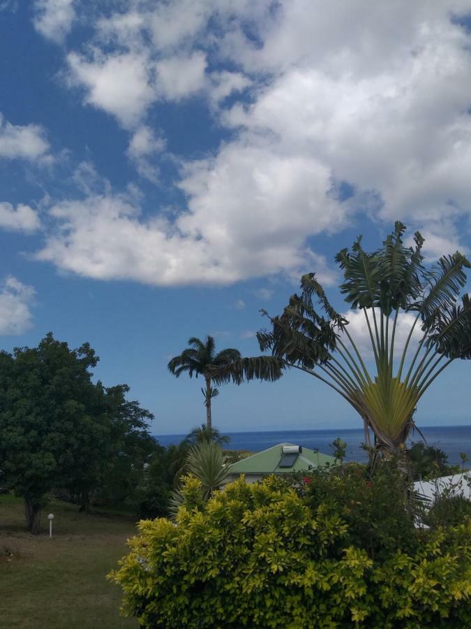Ti Pannye Daire Deshaies Dış mekan fotoğraf